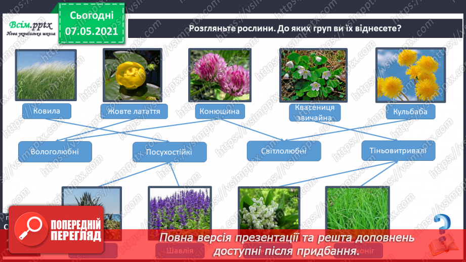 №040 - Пристосування квіткових рослин до різних умов життя14 №040 - Пристосування квіткових рослин до різних умов життя14