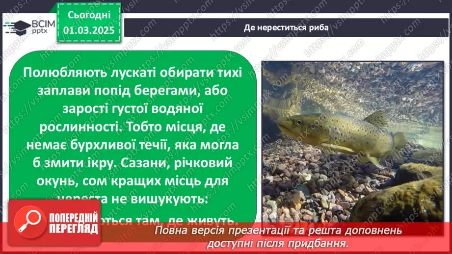 №0073 - Як змінюється життя у водоймах навесні12 №0073 - Як змінюється життя у водоймах навесні12