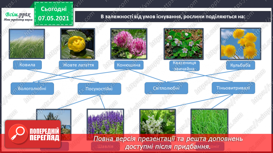 №048 - Узагальнення і систематизація знань учнів. Діагностична робота з тем «Різноманітність рослин і тварин». Підсумок за семестр.10