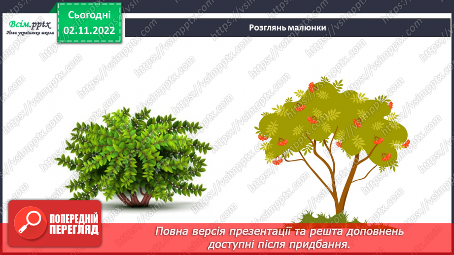 №0035 - Які бувають рослини? Де вони ростуть?14