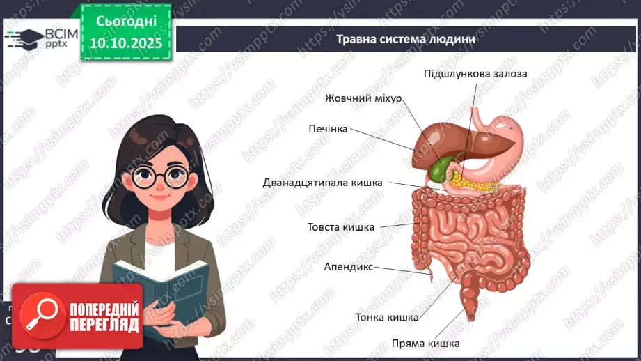 №024 - Травлення в кишці. Травні залози: печінка та підшлункова залоза.5 №024 - Травлення в кишці. Травні залози: печінка та підшлункова залоза.5