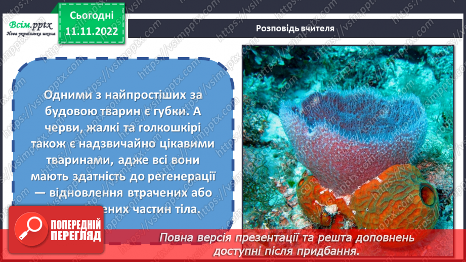 №13 - Черви, жалкі, голкошкірі та губки. Виготовляємо обкладинку інтерактивного зошита «Царство тварин».15