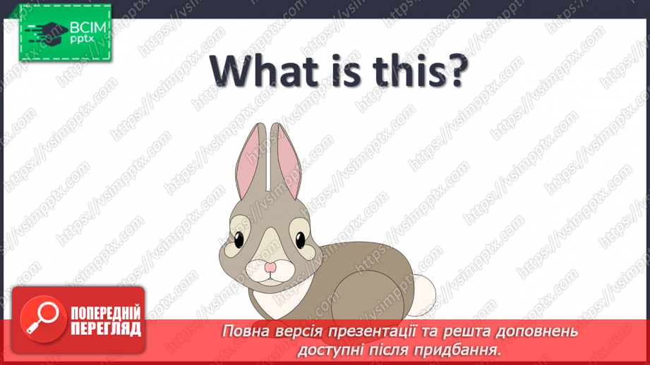 №33 - My pets22