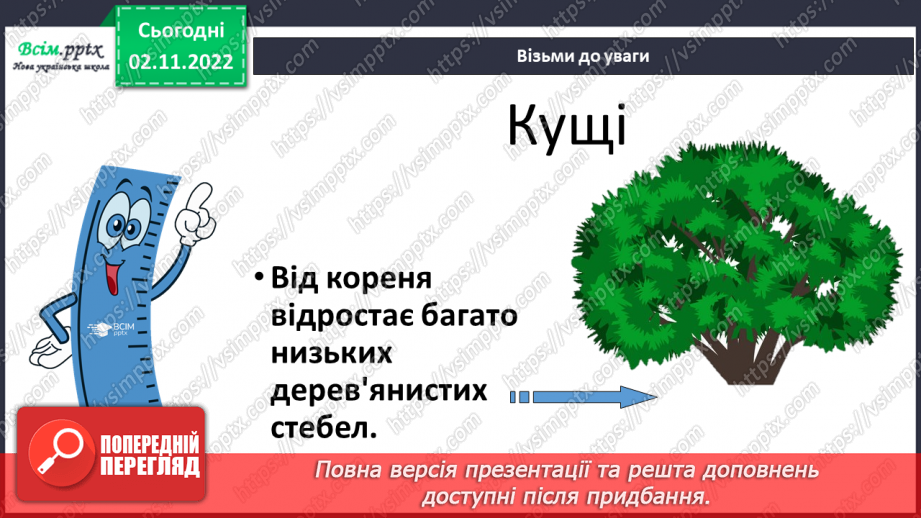 №0035 - Які бувають рослини? Де вони ростуть?13