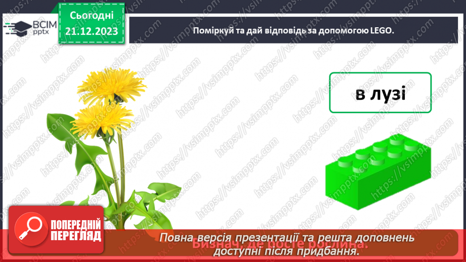 №049 - Чому рослини такі різні30 №049 - Чому рослини такі різні30