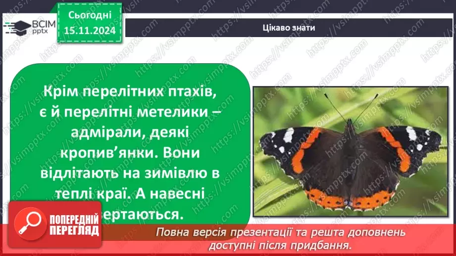 №0034 - Як осінні зміни впливають на комах18 №0034 - Як осінні зміни впливають на комах18