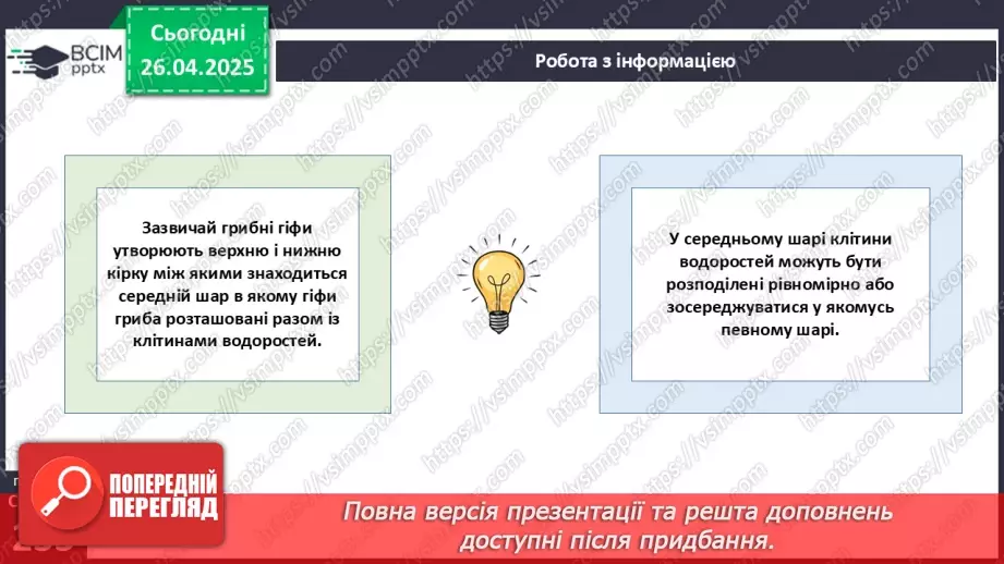 №79 - Лишайники.10 №79 - Лишайники.10
