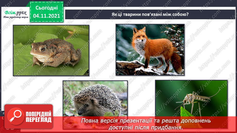 №040 - Як тварини пристосувалися добувати корм19 №040 - Як тварини пристосувалися добувати корм19