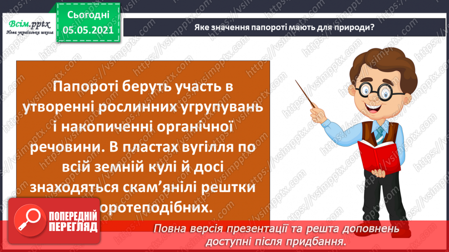 №034 - Папороті.22 №034 - Папороті.22