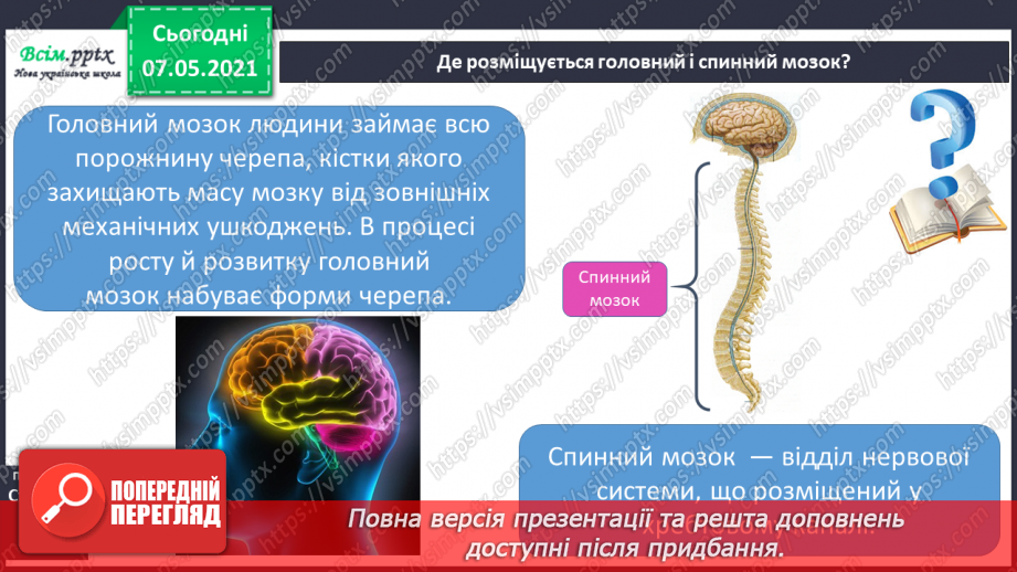 №060 - Що таке нервова система.11 №060 - Що таке нервова система.11