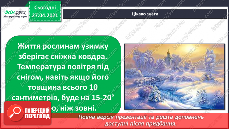 №032 - Як рослини готуються до зими18
