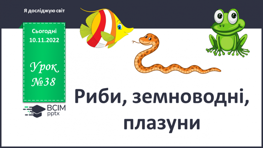 №038 - Риби, земноводні та плазуни.0 №038 - Риби, земноводні та плазуни.0
