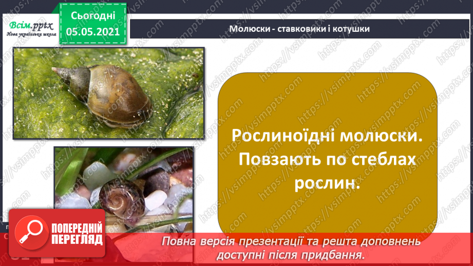 №052 - Природне угруповання — прісна водойма.19
