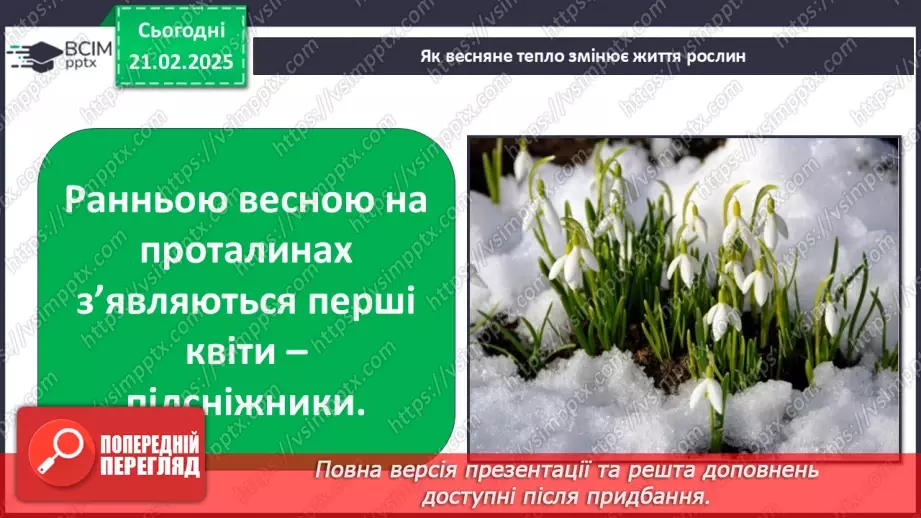 №0070 - Як почуваються рослини навесні6 №0070 - Як почуваються рослини навесні6