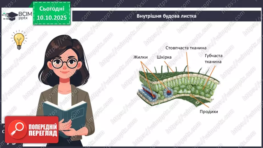 №023 - Покритонасінні рослини: будова бруньки, пагона й листка (продовження).17 №023 - Покритонасінні рослини: будова бруньки, пагона й листка (продовження).17