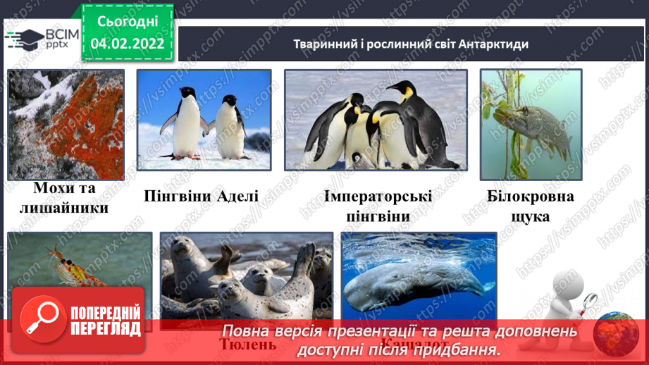 №065-68 - Рослинний і тваринний  Світ Антарктиди10 №065-68 - Рослинний і тваринний  Світ Антарктиди10