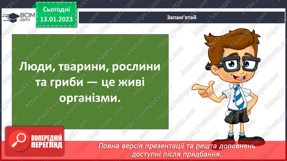 №38 - Організми та їх властивості. Методи дослідження організмів. Висівання і пророщування квасолі.5