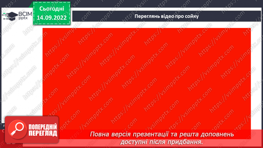 №017 - Сойка готується до зими. За Володимиром Титаренком «Сойчині жолуді». Добір інших заголовків до тексту. (с. 18-19)19