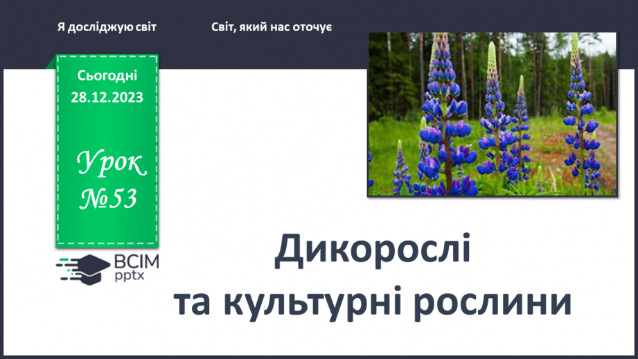 №053 - Які рослини дикорослі, а які культурні0 №053 - Які рослини дикорослі, а які культурні0