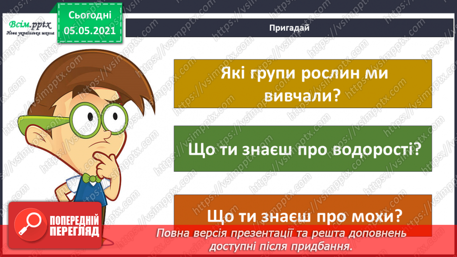 №034 - Папороті.6 №034 - Папороті.6