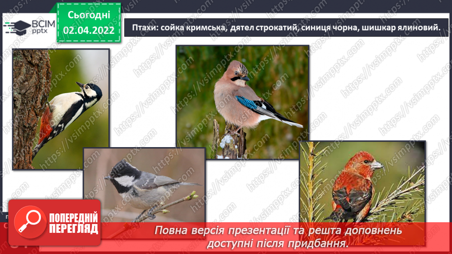 №083 - Кримські гори.16