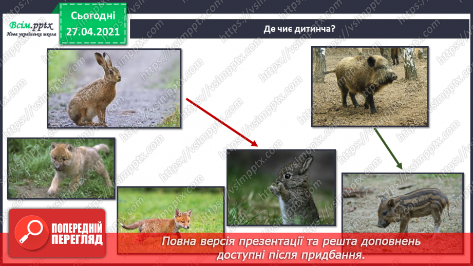 №088-89 - Які турботи приносить весна звірам?26