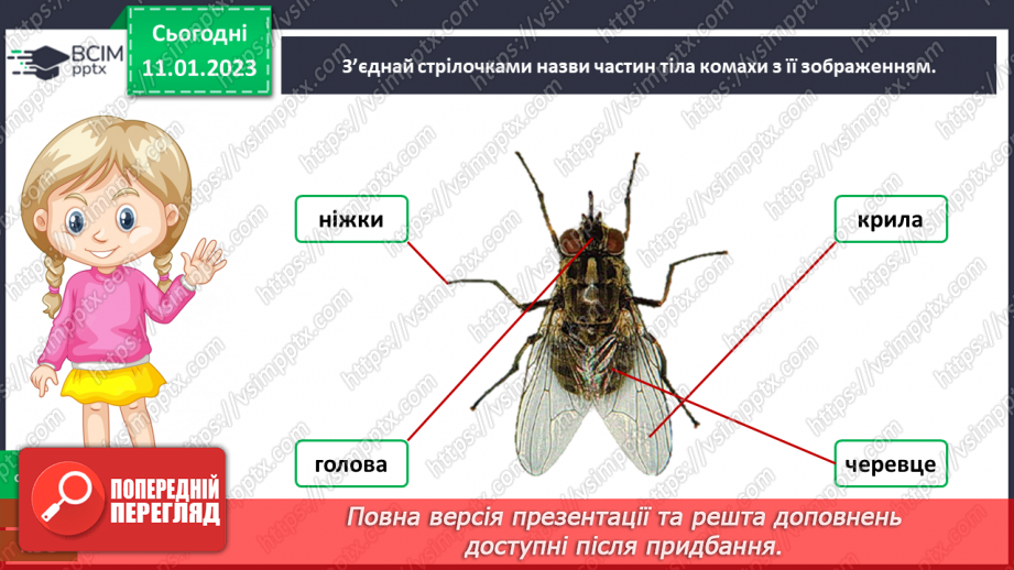 №0055 - Комахи12 №0055 - Комахи12