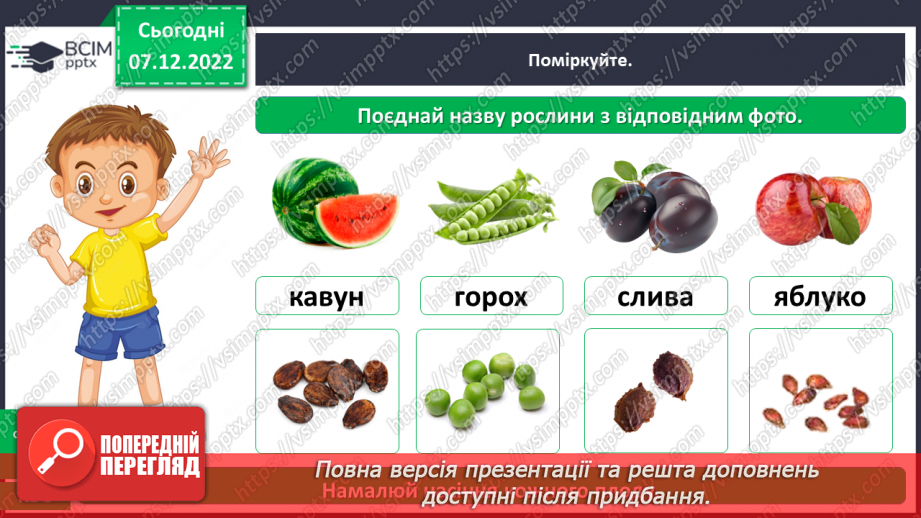 №0050 - Будова рослин23