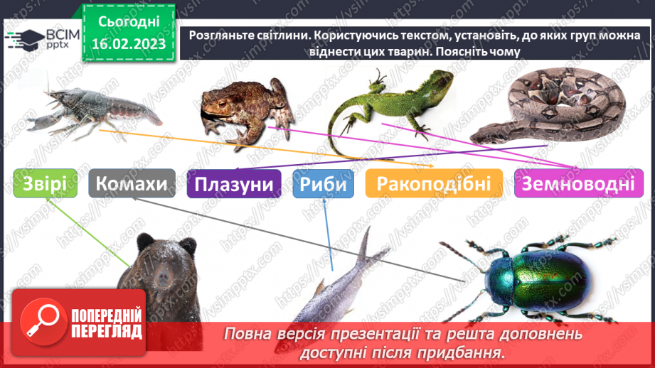 №48 - Хребетні тварини. Будова та спосіб життя хребетних тварин. Практична робота.31