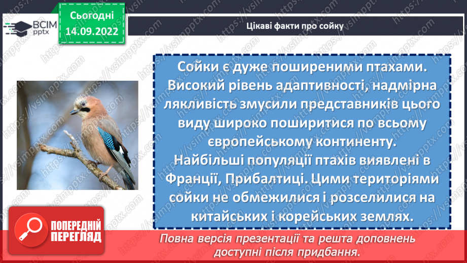 №017 - Сойка готується до зими. За Володимиром Титаренком «Сойчині жолуді». Добір інших заголовків до тексту. (с. 18-19)12