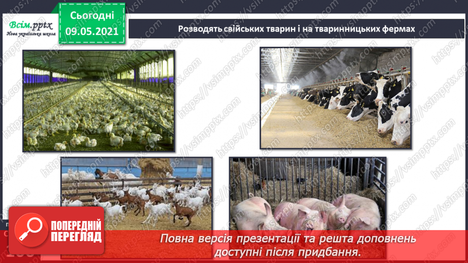 №071 - Чи може людина існувати без свійських тварин?15 №071 - Чи може людина існувати без свійських тварин?15