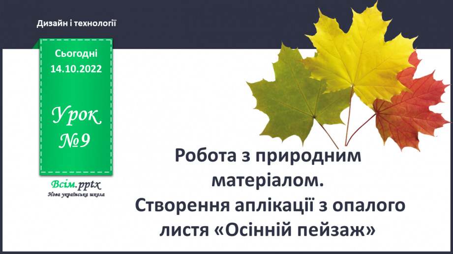 №09 - Робота з природним матеріалом. Створення аплікації з опалого листя «Осінній пейзаж»0