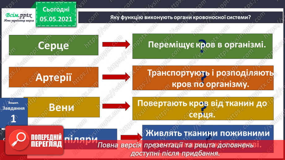№072 - Для чого людині органи кровообігу?19 №072 - Для чого людині органи кровообігу?19