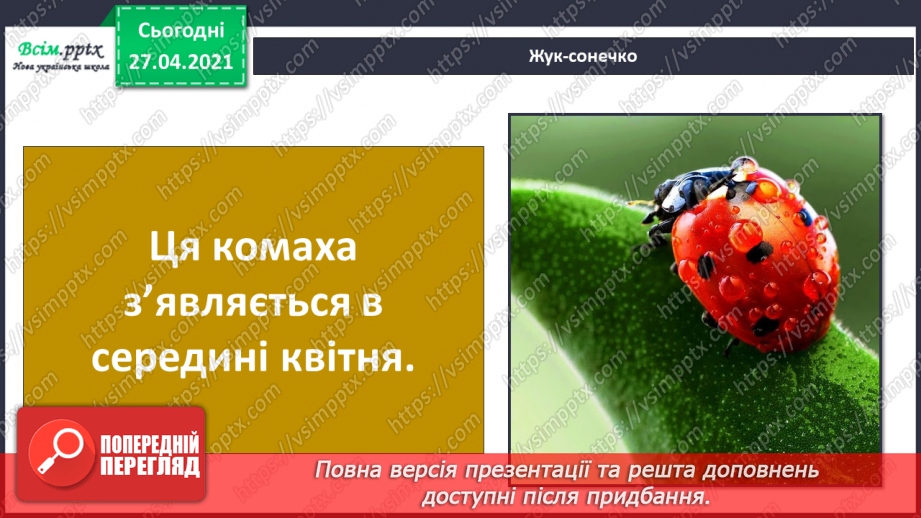 №085 - Які комахи з’являються навесні першими?17 №085 - Які комахи з’являються навесні першими?17