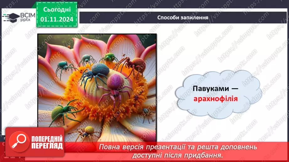 №33 - Квіткові. Квітка і суцвіття. Запилення (продовження).12 №33 - Квіткові. Квітка і суцвіття. Запилення (продовження).12