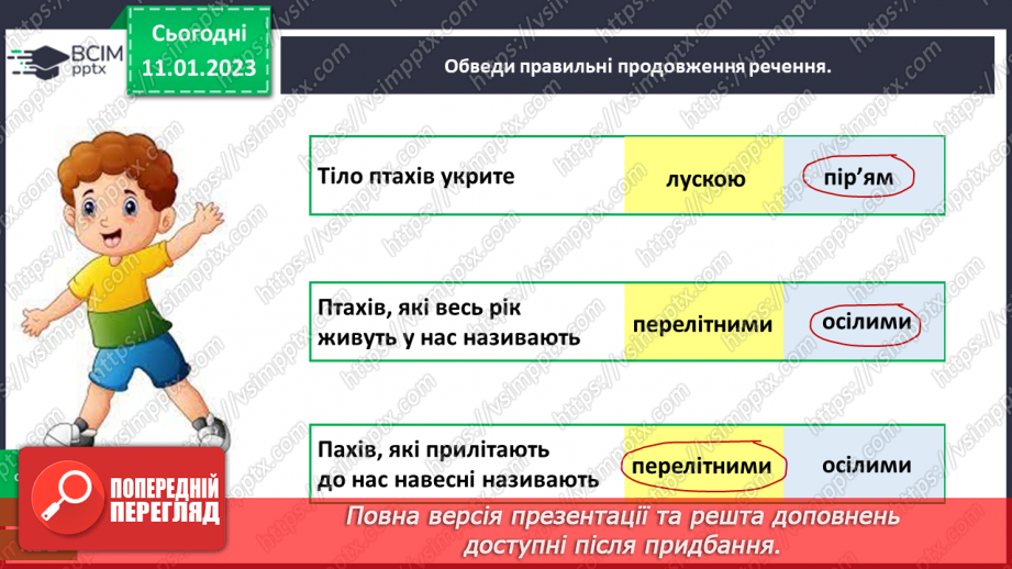 №0057 - Птахи17