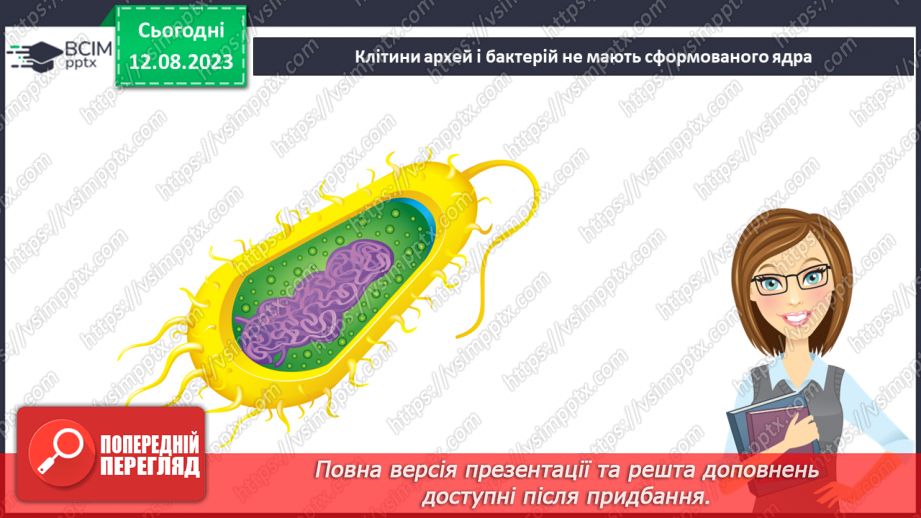 №11 - Різноманітність організмів: Бактерії та Гриби.6