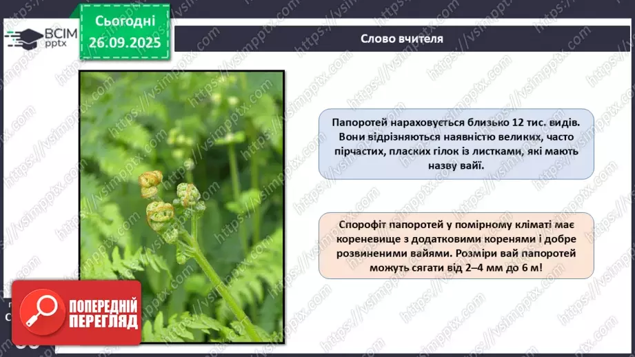 №018 - Вищі спорові рослини: папороті та хвощі. Їхнє значення в екосистемах і використання.7 №018 - Вищі спорові рослини: папороті та хвощі. Їхнє значення в екосистемах і використання.7