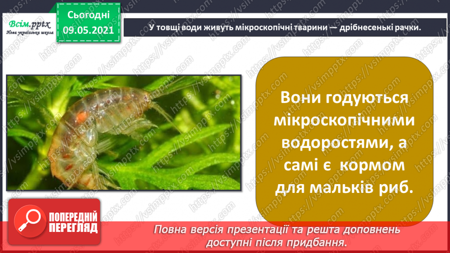 №074-75 - Які тварини живуть на луках, у степах і водоймах?23