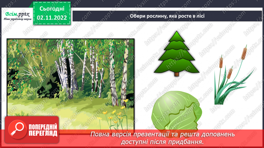 №0035 - Які бувають рослини? Де вони ростуть?20