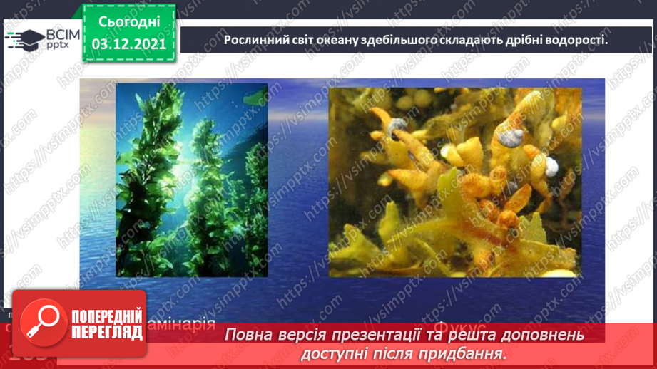 №045-47 - Океани Землі. Особливості природи океанів.22 №045-47 - Океани Землі. Особливості природи океанів.22