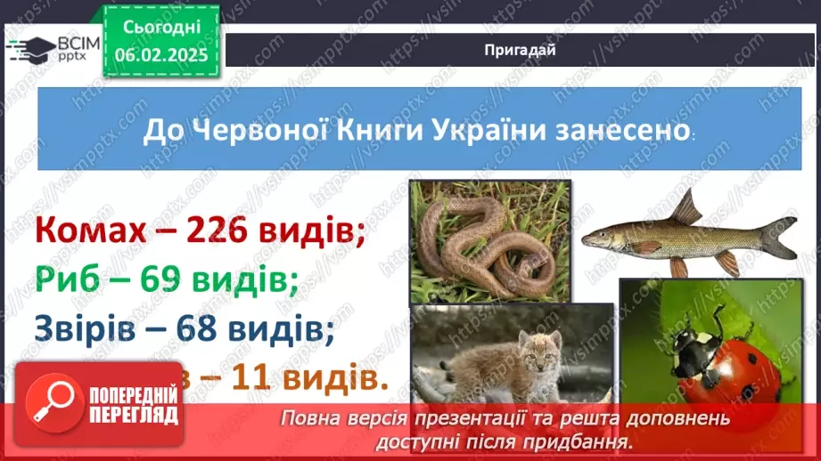 №067 - Узагальнюємо свої знання з теми.13