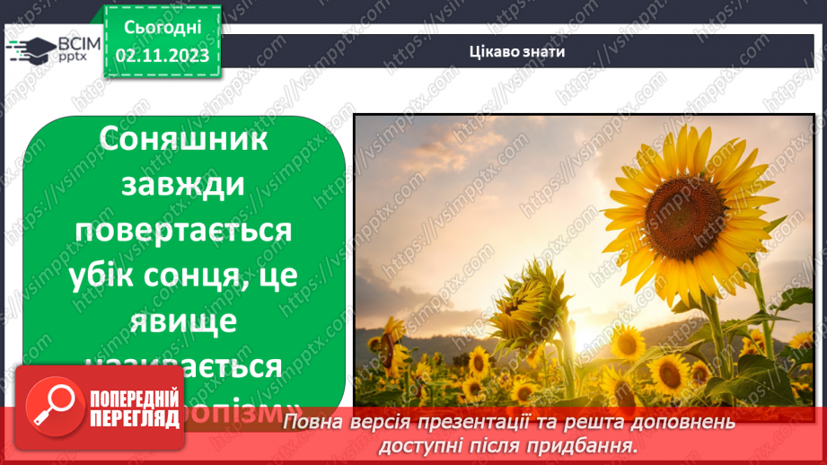 №033 - Ґрунт. Що потрібно рослині для розвитку? Як насінина соняхом стала. Подорож маленької зернинки24 №033 - Ґрунт. Що потрібно рослині для розвитку? Як насінина соняхом стала. Подорож маленької зернинки24