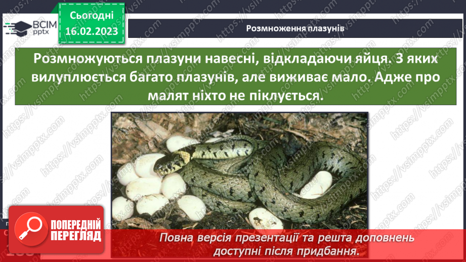 №48 - Хребетні тварини. Будова та спосіб життя хребетних тварин. Практична робота.18