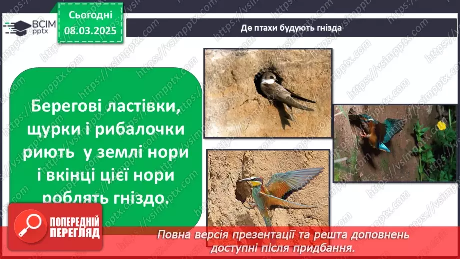 №0076 - Чому птахи в’ють гнізда25 №0076 - Чому птахи в’ють гнізда25