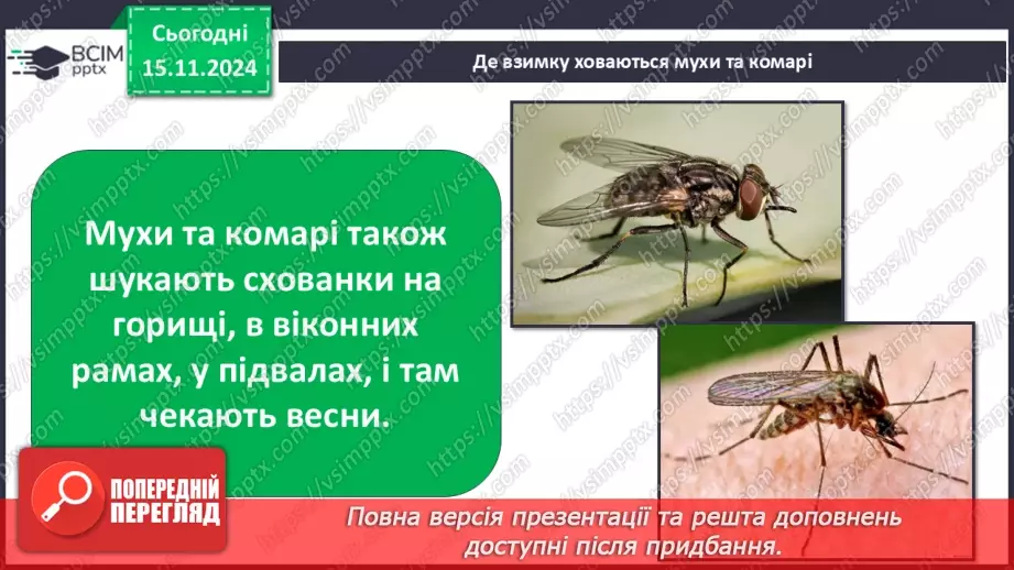 №0034 - Як осінні зміни впливають на комах14 №0034 - Як осінні зміни впливають на комах14