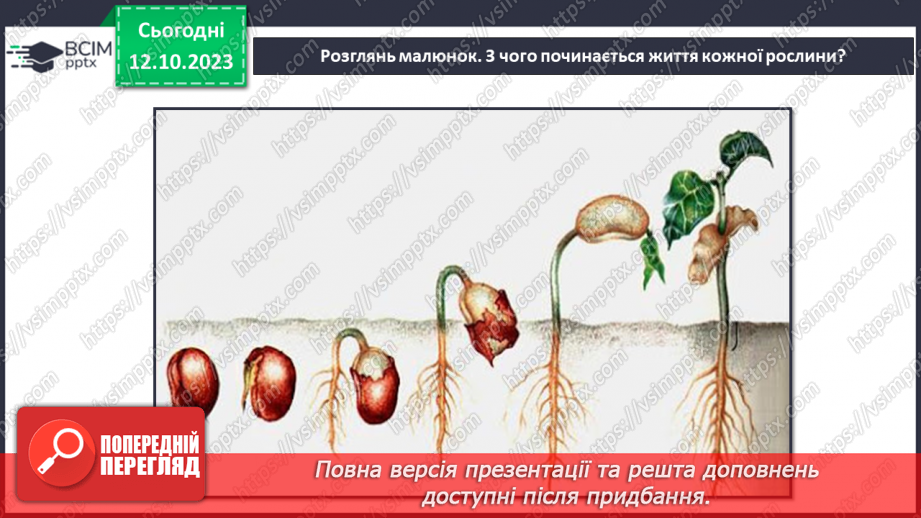 №022 - Плоди і насіння рослин5 №022 - Плоди і насіння рослин5