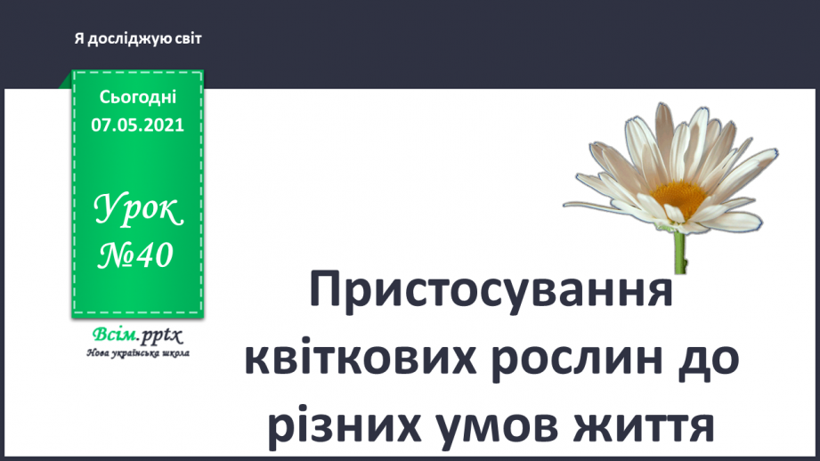 №040 - Пристосування квіткових рослин до різних умов життя0 №040 - Пристосування квіткових рослин до різних умов життя0