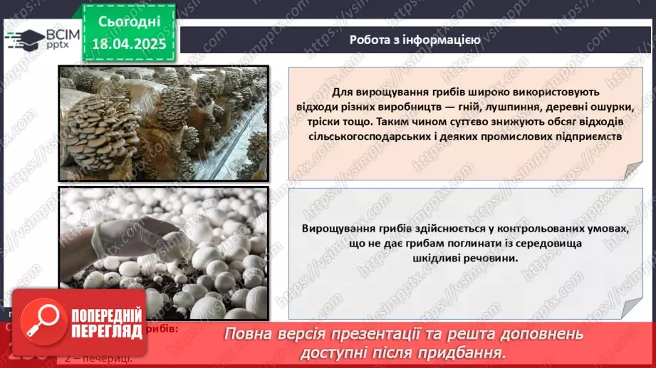 №78 - Використання грибів людиною.12 №78 - Використання грибів людиною.12