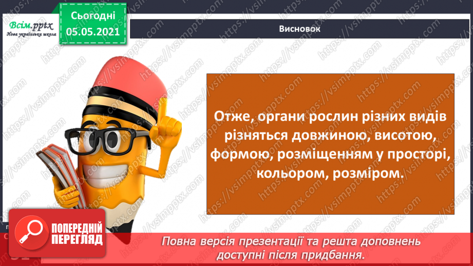 №030 - Рослини. Будова рослин19 №030 - Рослини. Будова рослин19